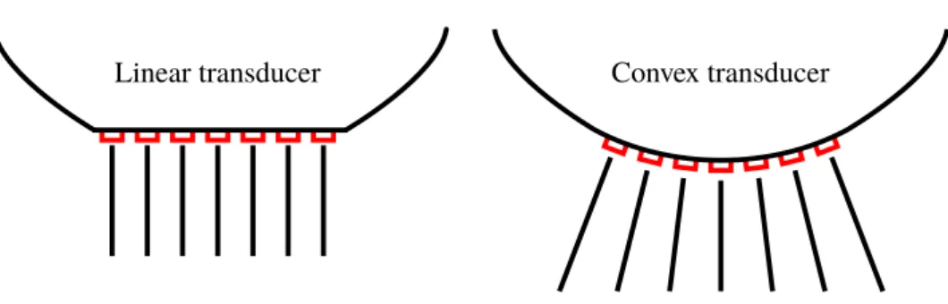 Figure 3.2: Illustration of the configuration of the piezoelectric elements (red) on linear and convex ultrasound transducers.