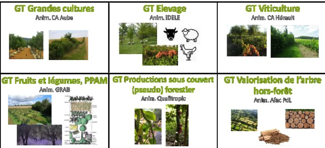 Figure 1. Les six groupes de travail du RMT AgroforesterieS 2021-2025. Les objectifs des groupes de travail sont de réaliser  l’état  des  lieux  de  la  diversité  des  pratiques  agroforestières  et  des  ressources  à  disposition  (dispositifs  expérim