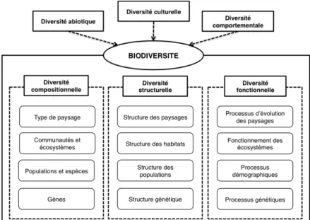 Figure   2   :   Les   différentes   composantes   de   la   biodiversité   (inspiré   de   Noss,   1990;   Duelli   et   Obrist,   2003)