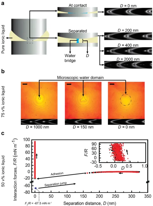 Figure  3. (a) Schematic representation of the microscopic water domains at the interface of mica-pure IL, and the change in the corresponding FECO with surface separation distance, D 