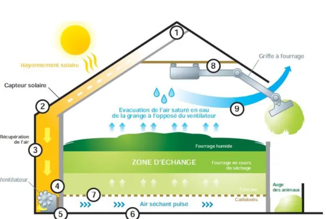 Figure  4  :  Schéma  du  principe  de  fonctionnement  d'un  séchoir  en  grange  avec  capteur  solaire  (Source : PERLUDE, ARPE et SOLAGRO)