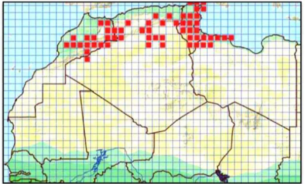 Figure 14: Répartition géographique de l’espèce Acanthodactylus maculatusen en Afrique  du Nord d’après (TRAPE et al.,2012)