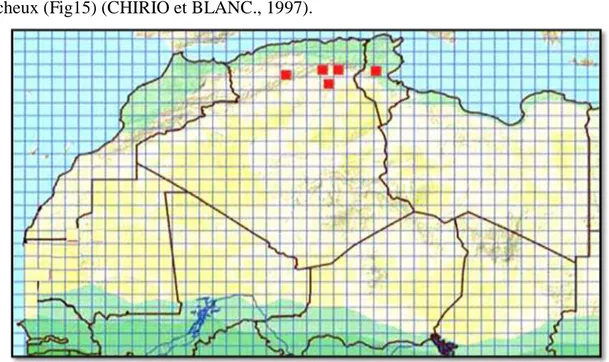 Figure 15 : Répartition géographique de l’espèce Acanthodactylus bedraigai en Afrique  du Nord (TRAPE et al., 2012)