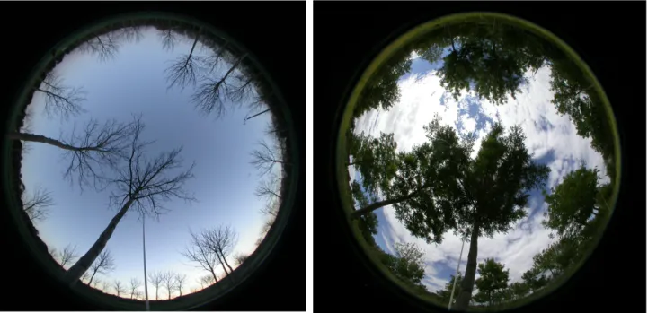 Figure 4 : Exemple de photos hémisphériques effectuées au même emplacement le 13/04/13 (à gauche) et le 10/06/13 (à   droite).