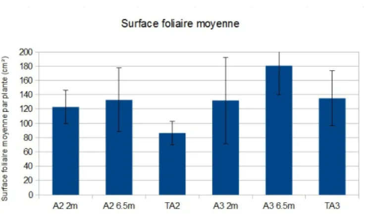 Figure 10 : Représentation de l'indice foliaire moyen du pois cultivé en agroforesterie et prélevé au stade floraison en 