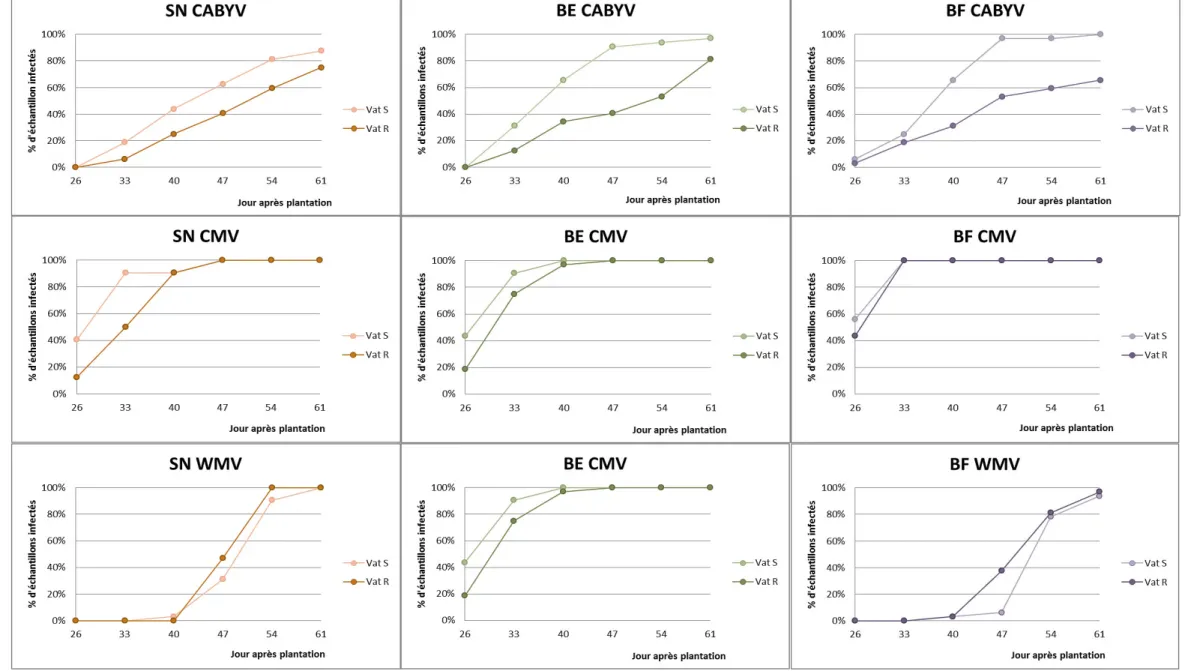 Figure 17 : Comparaison de deux variétés  Vat S et Vat R pour chacun des virus  (CABYV, CMV, WMV) et sur les  trois traitements (SN, BE, BF)