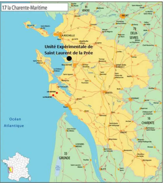 Figure 1 : Localisation de l’Unité Expérimentale de Saint-Laurent de la Prée en France  Source : Art-voyages, 2017 