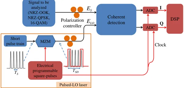 Figure II.6: Setup for proposed linear optical sampling. MZM: Mach-Zehnder modulator.