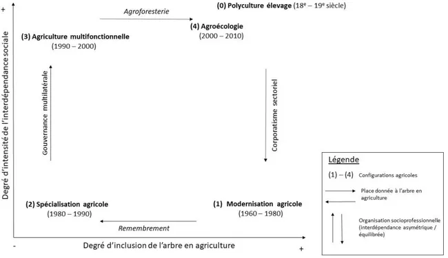Figure 1 : Cadrage de l’arbre en agriculture selon les configurations agricoles. (Source : Auteur) 