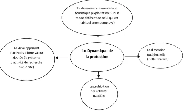 Figure 3 : La dynamique de la protection et ses conséquences socioéconomiques 