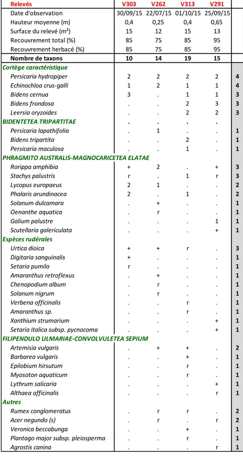 Tableau 4 : Leersio oryzoidis - Bidentetum tripartitae Poli &amp; Tüxen ex Zaliberova &amp; al 2000 