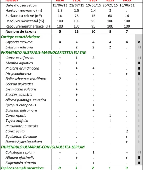 Tableau 6 : Glycerietum maximae Hueck 1931 