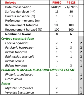 Tableau 3 : Leersio oryzoidis - Bidentetum tripartitae Poli &amp; Tüxen ex Zaliberova &amp; al 2000 