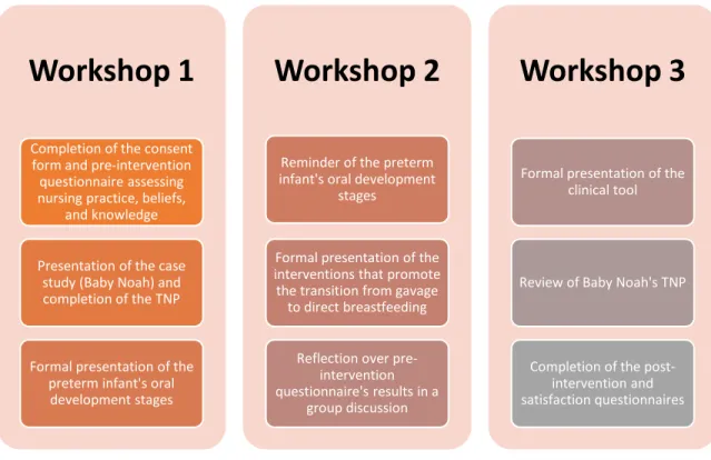 Figure 2: A detailed description of the three workshops composing the pilot educational intervention 