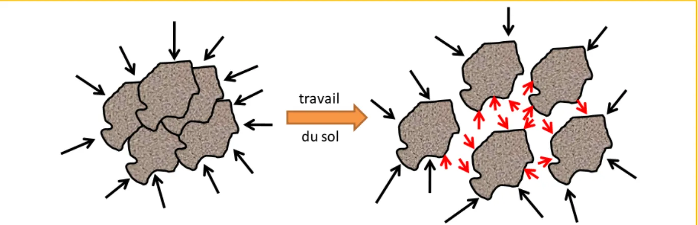 Figure 7 : Schème simplifié de l'effet du travail du sol sur la minéralisation de la MO du sol