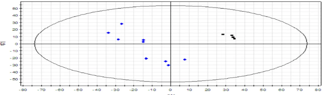 Figure 7 :  Carte des individus (Score Scatter Plot) ; obtenue  par l’analyse PLS-DA pour la  LC/MS en mode positif  de la sève de peuplier ;  du modèle T0vsT6 en regardant les deux  concentrations C1+ C4