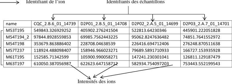 Figure 10 : Une partie de la matrice de données générée après extraction des données par  LC/MS en mode positif des échantillons de sève de peuplier