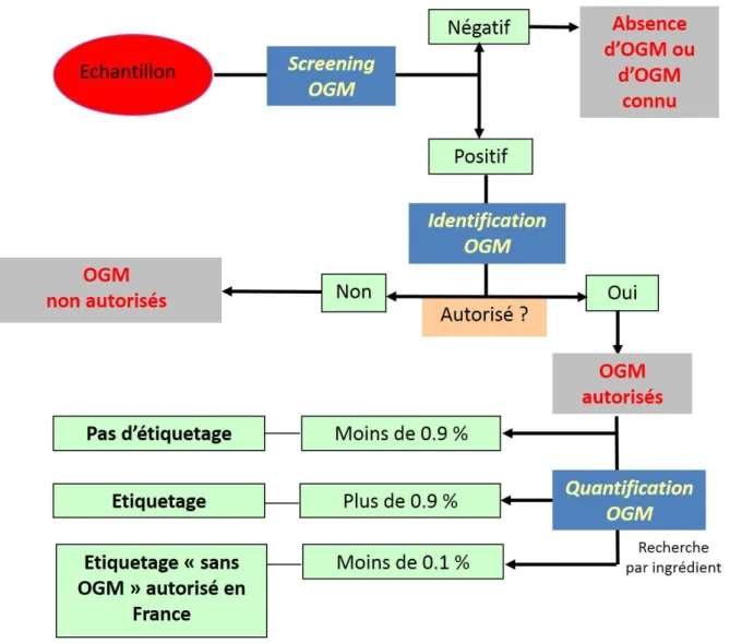 Figure 3 : Procédure d’analyse d’un échantillon pour la recherche d’OGM et conséquences sur l’étiquetage