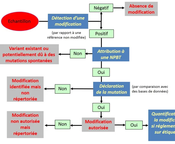 Figure 4 : Procédure potentielle d’analyse d’un échantillon pour la recherche d’une modification induite par une NPBT