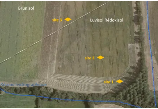 Figure 6 : Photo aérienne et emplacement des sites de prélèvement 