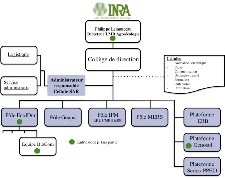 Figure 1 : Organigramme de l'UMR Agroécologie 