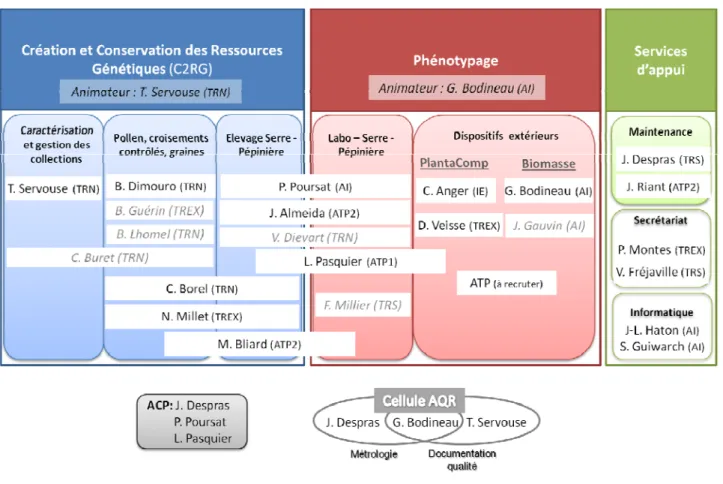 Figure 10 : Organigramme de l’UE  