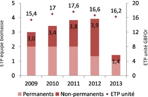 Figure 19 : Répartition des ETP au cours de la durée  du projet phare d'unité 2009 ‐ 2013