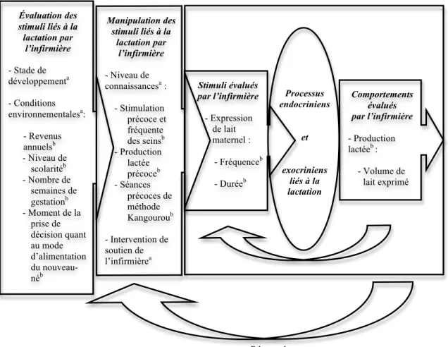 Figure 7. Le cadre de référence modifié de la seconde étude 