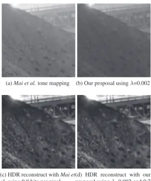 Fig. 4 : Tone mapping curve for AmikeusBeaverDamPM1 using Mai et al. method (in black) and our propose with λ=0.004 (in red).