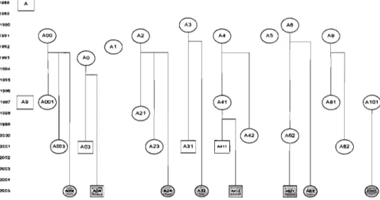 Figure 1. Composition du groupe suivant la filiation  matrilinéaire,  l'année de naissance et  le  sexe