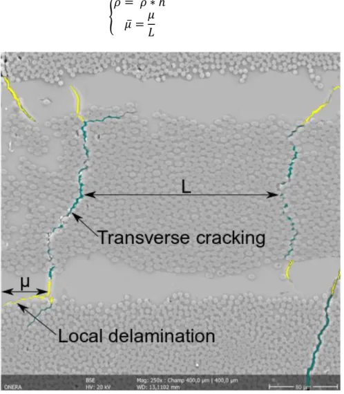 Figure 6 Damage variables observable from SEM micrograph on quasi-isotropic (A) sample impacted at  21 J 