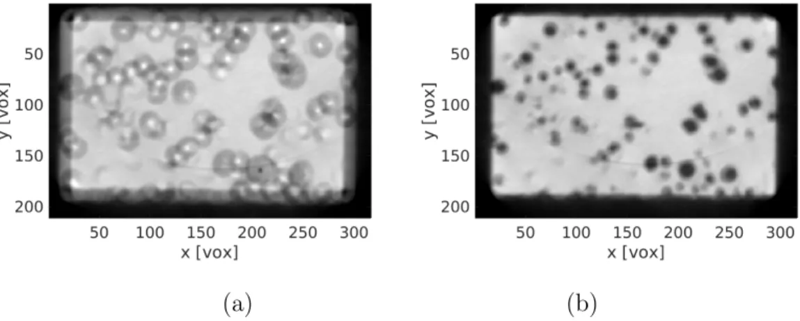 Figure 7. Zoom on the reconstruction of step 2 at slice z = 100 voxels (a) for the initial state and (b) after correction of the rotation axis
