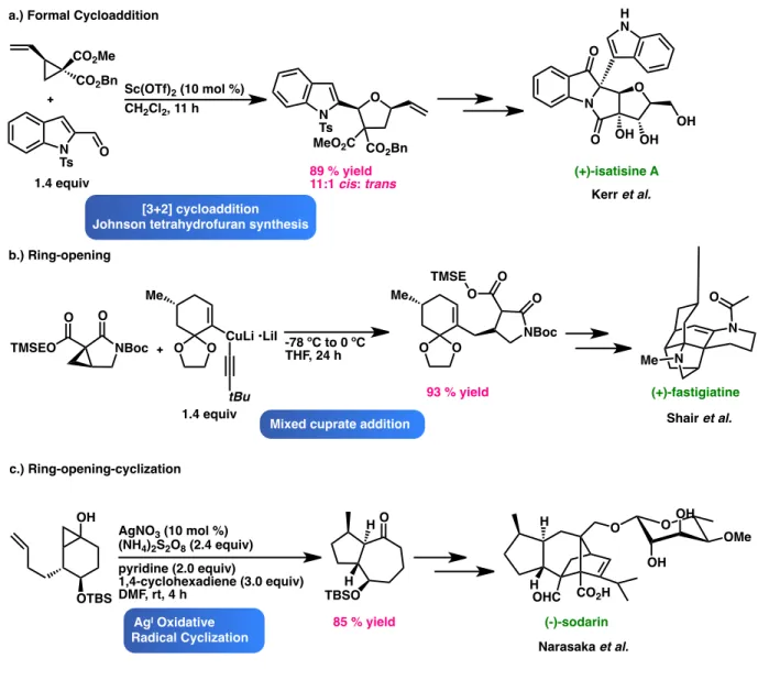 Figure 1. Recent examples of total syntheses employing cyclopropane-based strategies. 2,3,4