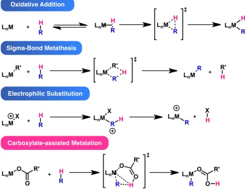 Figure 9. C–H bond metalation mechanisms.  40,41