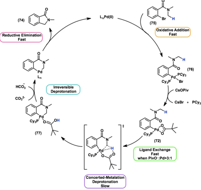 Figure 14. Proposed catalytic cycle for alkane arylation based on experimental evidence and  DFT calculations