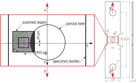 Figure 7: Schematic view of the sample with the scanned region close to the central hole