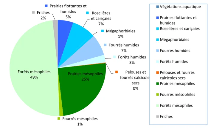 Diagramme en secteur représentatif de la surface des végétations de l’ENS de Nonville 