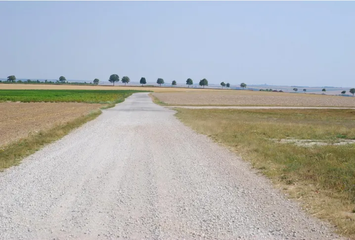 Figure 2 Paysage de Champagne crayeuse généré par l'agro-industrie, été 2018 