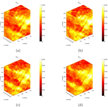 Figure 10: Equivalent strain for the early stage of loading with an equivalent regularization length of 5 voxels (see Figure 8(b)) that corresponds for field v 1 to a length of 5 voxels (a), about 5 voxels for field v 2 (b), 30 voxels for field v 0 with Po