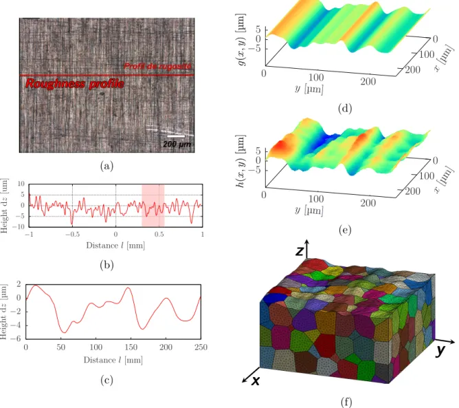 Figure 3: Surface state studied in this paper. (a) Optical microscope image of the brushed surface with a red line along the (b) one-dimensional roughness profile, all provided by Le Pécheur et al