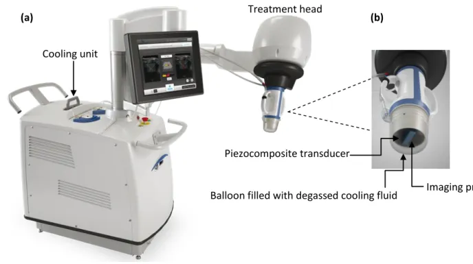 Figure 1: Ultrasound equipment: (a) Echopulse, (b) HIFU transducer.  
