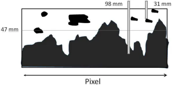 Figure 2 : schéma théorique illustrant les difficultés de validation des modèles numériques de  RUM avec des données ponctuelles