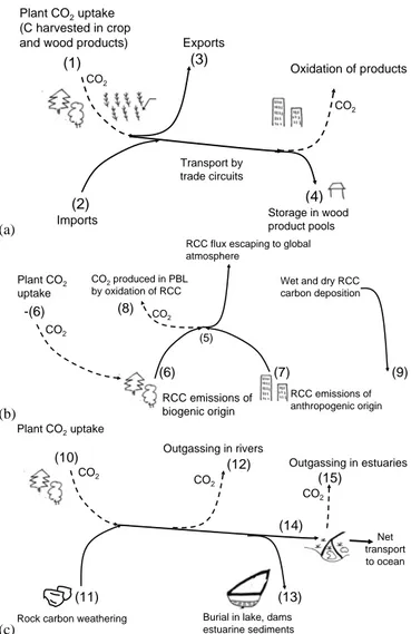 Fig. 1. Carbon cycle loops involving lateral transport. Numbers as- as-sociated to each flux correspond to data in Table 2