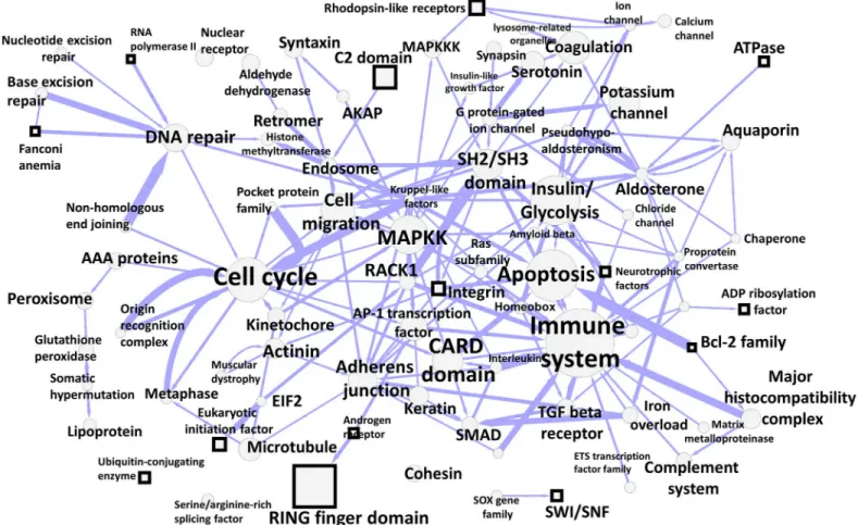 Fig 3. Map of connections between communities of hidden protein connections through the global Wikipedia network