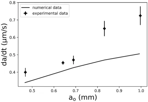 FIGURE 7 Bubble shrinkage rate ( 