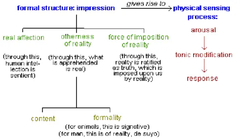 Figure 1. Structure de l'appréhension sensible dans l'homme 165