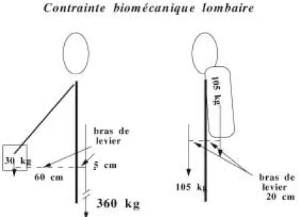 Fig. 3-2 Modèle biomécanique schématisé pour le calcul de la compression   du disque intervertébral lombaire (INSERM,  1995) 