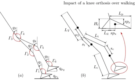 Fig. 1. Modelisation of the planed biped. a) Parameterisation of the biped. Note that angles are positive in counterclockwise