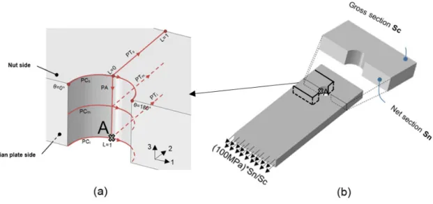 Figure 9: Definition of stress distribution paths (a), definition of applied load on gross section  (b)