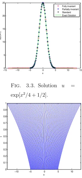 Fig. 3.4. Invariant mesh.